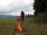 /album/anglicky-kokerspaniel/mia-vystava-jpg/